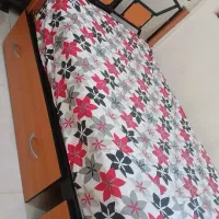 تخت دوطبقه / قابل استفاده به‌صورت دو تخت مجزا