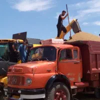 زمین کشاورزی