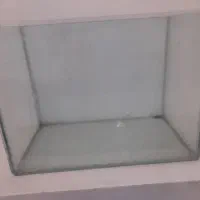 اکواریوم