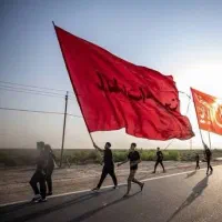 ماشین یخچال زیر صفر