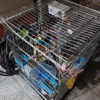 قفس پرنده و اکواریوم ماهی