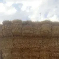 پرس گندم وجو کاه