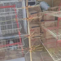 استند چیپس و تنقلات