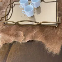 ظروف شیک