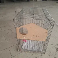 قفس پرنده