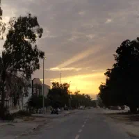 ورزش صبح گاهی