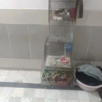 قفس پرنده 4 عدد بزرگ وکوچیک