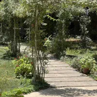 430-متر-زمین-بهمراه-بنای-2طبقه-200-متر-در-خ-نهانی