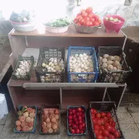 میوه وسبزی