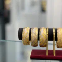 تکپوش پهن