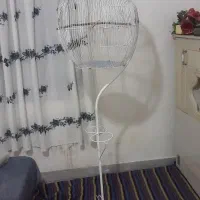 قفس پرنده