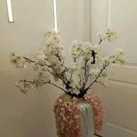 شاخه گل آویز نو