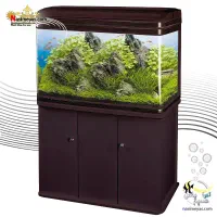 آک واریوم ماهی