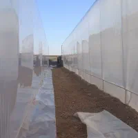 نصب و فروش تجهیزات گلخانه