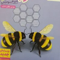 کتاب علوم نهم تیزهوشان خیلی سبز