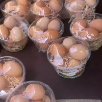 تخم مرغ بومی