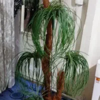 عروسک خرسی خارجی ویک گل مصنوعی