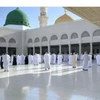 فیش عمره فروشی