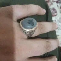 شجرقائنات