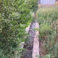 فروش-باغچه-با-مثمر-3-ساله