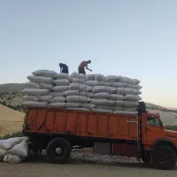 کاه