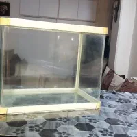 آکواریوم شرکتی