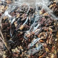 فروش گردوی خورشتی ۴۲۰۰