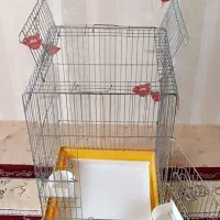 قفس پرنده