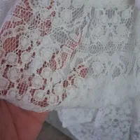 دامن مجلسی