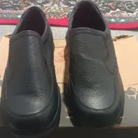 کفش اداری