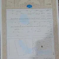 زمین-باغ-بهزاد-ریشهر