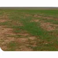 فروش یک قطعه زمین