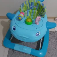 روروئک در حد نو