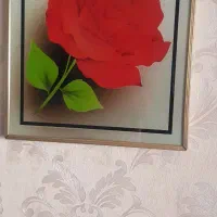 قاب عکس|تابلو، نقاشی، عکس|شیراز, ریشمک|دیوار