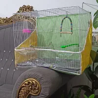 قفس پرنده، بدون زنگ زدگی یا شکستگی