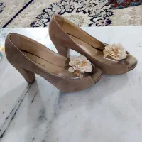 کفش مجلسی