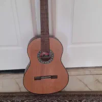 گیتار ایرانی
