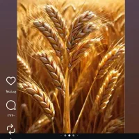 وام فوری بدون ضامن بدون چک بدون بدون سفته