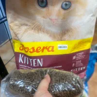 غذا خشک جوسرا