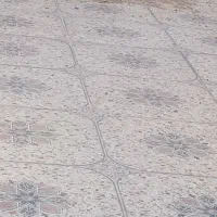 فروش کبوتر