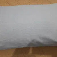 بالشت پر