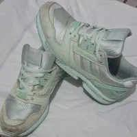 zx۸۰۰۰مغزپسته ایzx
