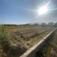 1000متر-زمین-کشاورزی