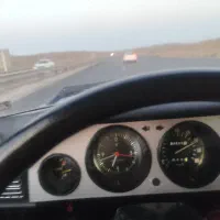 کارینا کولردار...