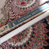 10عد مهتابی سالم
