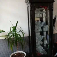 بوفه