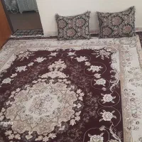 فرش|فرش|میناب, |دیوار
