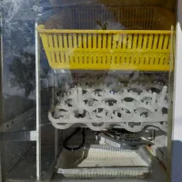 دستگاه جوجه کشی دیجیتال