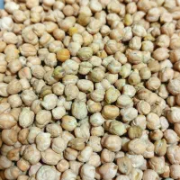 نخود گریت باکیفیت و بوجاری شده