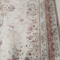 فرش12متری|فرش|تربت جام, علوی|دیوار